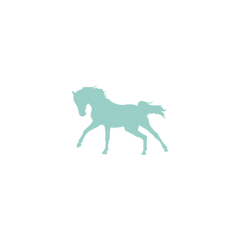 Untitled design (13).png