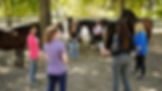 Holistic Horsemanship - Spirituality of Horsemanship Workshop at Tao of Horsemanship Academy