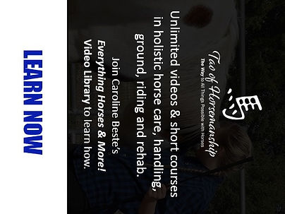 Libray rollover_edited.jpg