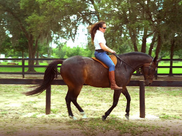 Holistic Horsemanship: Secrets to Effortless, Balanced and Connected Riding 