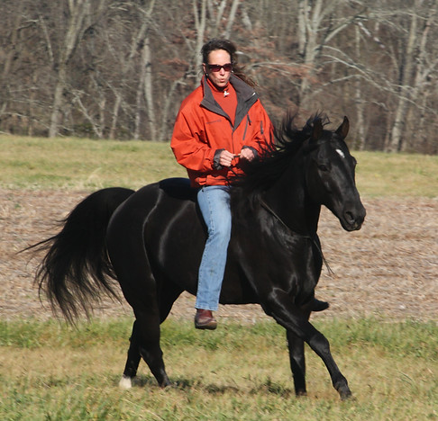 Smokey Bareback and Bridleless - Free Holistic Horsemanship Horse Training - beyond natural horsemanship