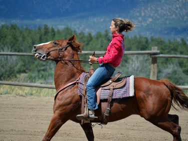 Why Most Horse Training Doesn’t Work — And the ONE Thing That Changes Everything