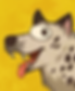 Patches