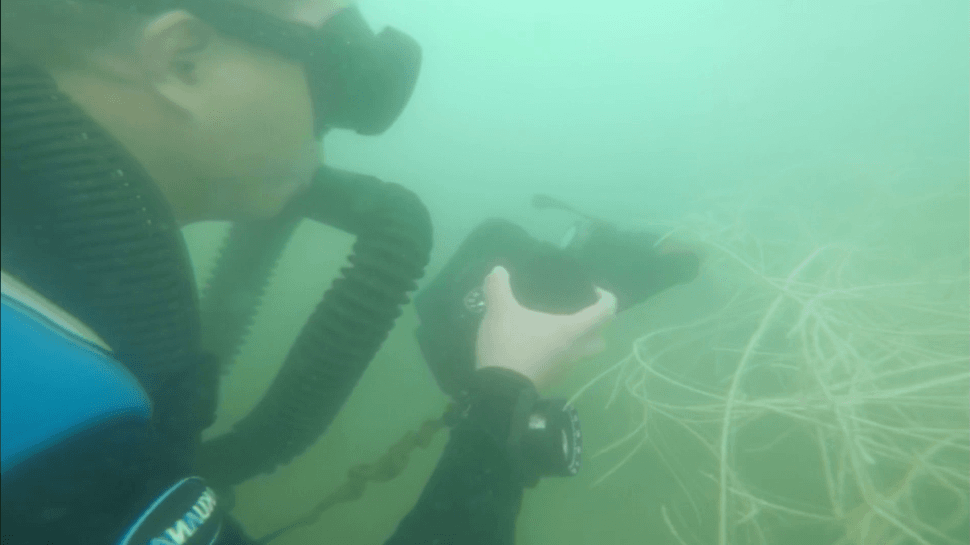 蛟龙入水！直击特战蛙人潜水训练现场