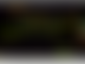 IBB next support on the YP