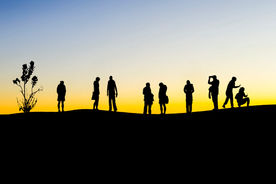 Silhouettes of tourists standing on the top of a hill in the desert at sunrise.  They are looking at the yellow sky in front of them and some are taking photos. There is a tall leafy plant on the left.