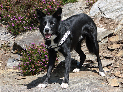 DSC01063_edited.jpg