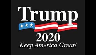This video will get Trump elected.webp