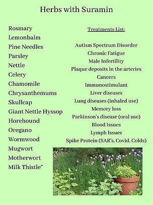 Herbs with Suramin.jpeg