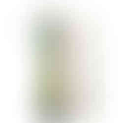 Gel contre les fourmis