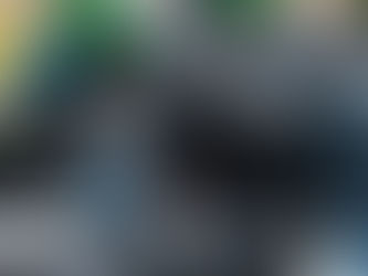Alerte recrudescence des rats à la Réunion (974)