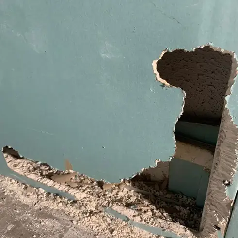 Cloison d'un restaurant rongée par des rats.