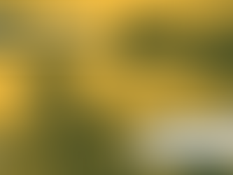 La zénitude au travail, comment faisons nous ?