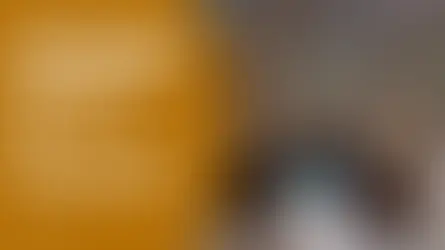 Rénovation et embellissement de vos bois d'extérieur