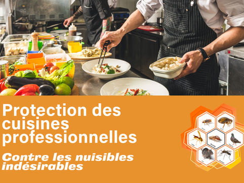 Quand tu penses pouvoir t'inviter dans une cuisine sans payer le loyer...