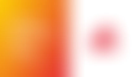 Histoire d'un chalet bois et des termites