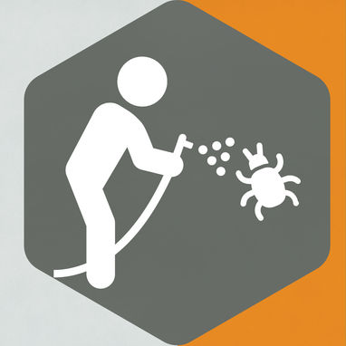 Etude génétique sur les punaises de lit "cimex lectularius".