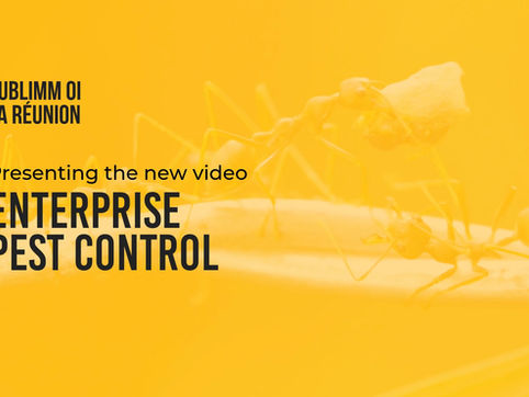 Explorez nos services antiparasitaires en images