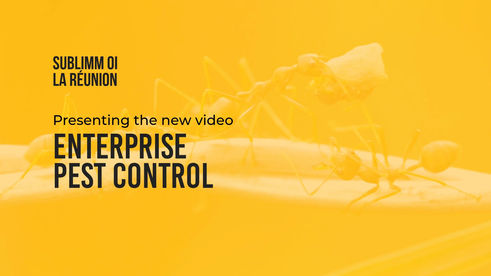 Explorez nos services antiparasitaires en images