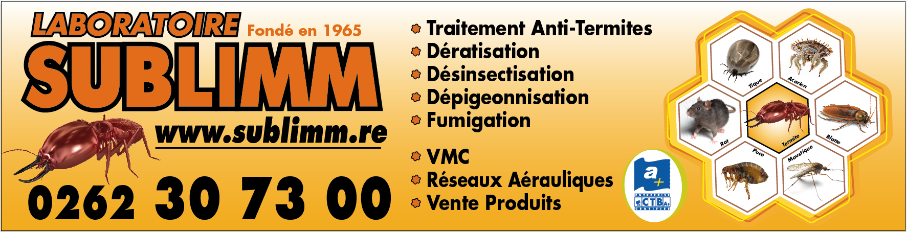 Nos prestations