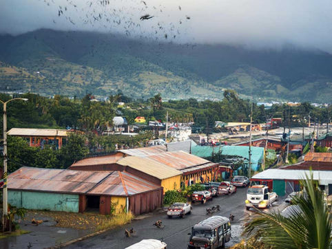 En octobre, préparez-vous contre l'invasion de nuisibles !