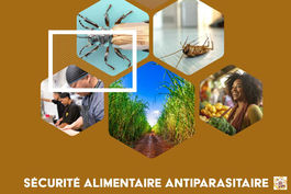 Garantir l'excellence et la sécurité dans chaque intervention antiparasitaire
