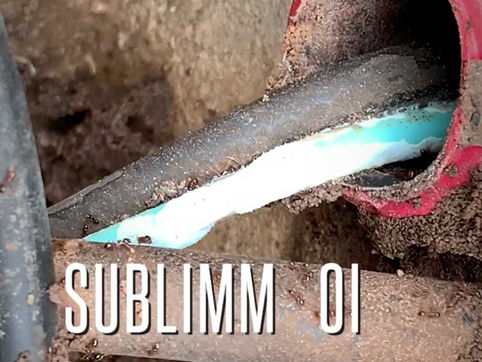 Les fourmis mangent les circuits électriques