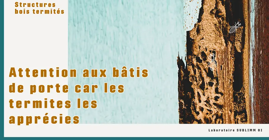 Un encadrement d'une porte en bois infesté de termites