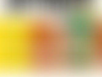 Dispositif pièges à termites : sentri box, sentri sol et appât HD