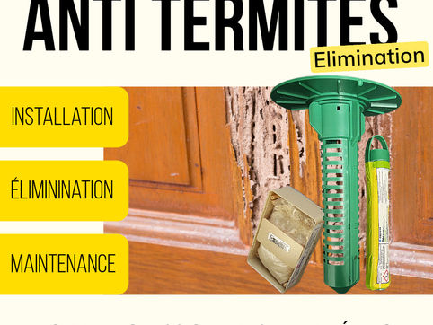 Dispositif pièges à termites : sentri box, sentri sol et appât HD