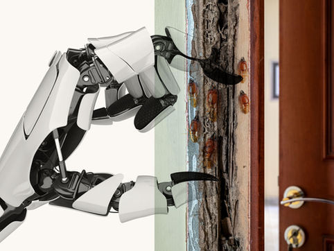 L'innovation technologique pour les futurs traitement anti termites