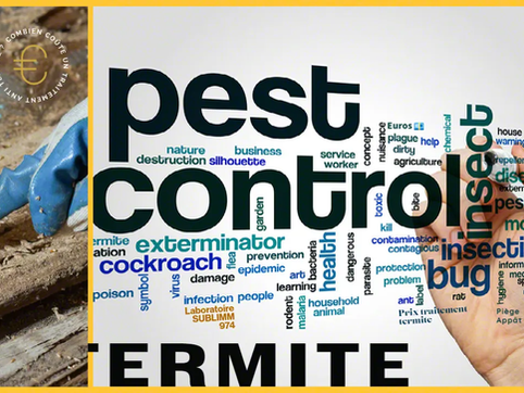 L'entreprise SUBLIMM Pest-control est spécialisé dans les traitements contre les termites et autres nuisibles sur l'ile de la Réunion 974