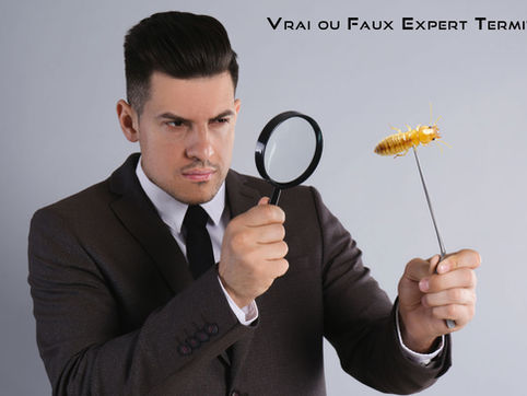 Attention aux experts en arnaque du traitement contre les termites, attention !