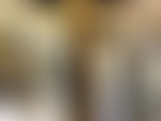 L'art de traiter les objets d'arts grâce à l'anoxie.