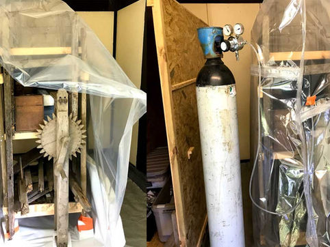 L'art de traiter les objets d'arts grâce à l'anoxie.