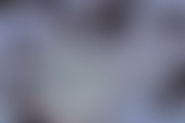 Contre les fourmis et puces faites protégez votre maison. 