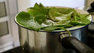 Receita de Xarope Tradicional