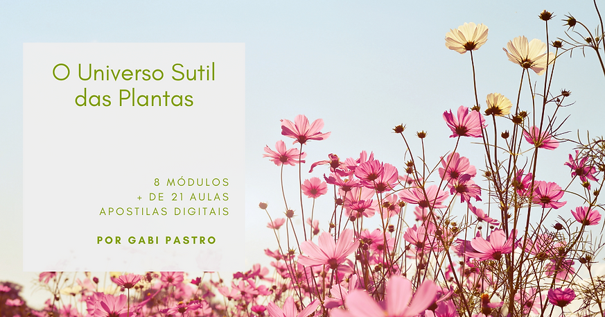 Universo Sutil das Plantas (4).png