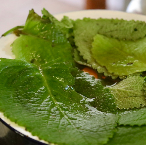 Folhas de hortelã-do-norte banhadas no mel