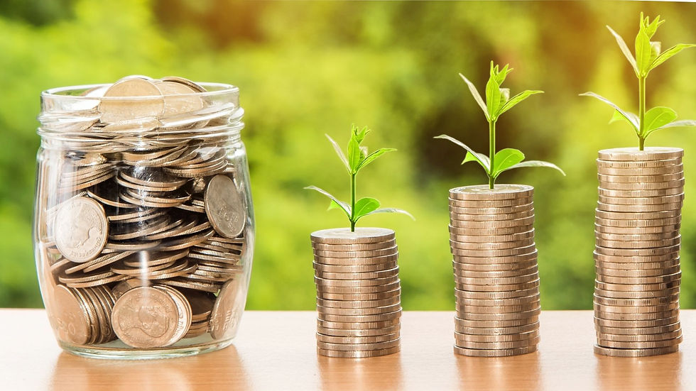 Photo décoration site