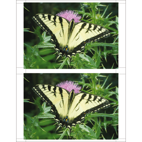 Thumbnail: Formax FD 120 Card Cutter