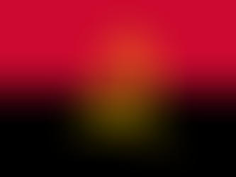 DPO - República de Angola
