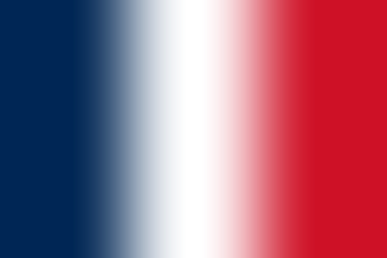 DPO França