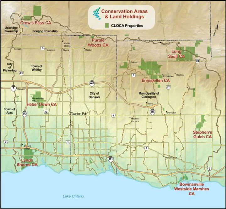 CA land holdings.webp