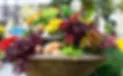 autumn planter.webp