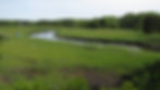 stream in Chatham, MA