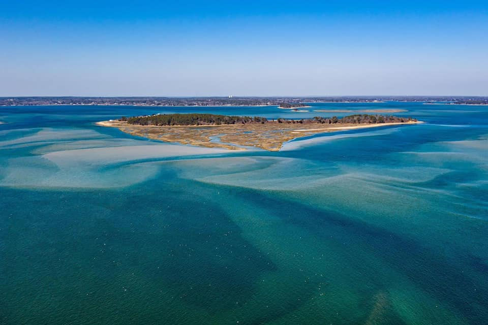 Bird Walk: Strong Island with Mark Faherty