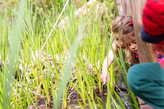 North Shore Nursery School