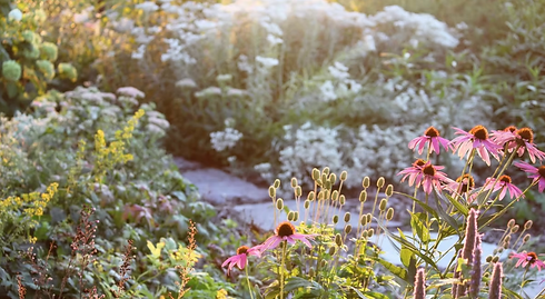 Screenshot 2026-03-19 at 6.29.02 PM.png