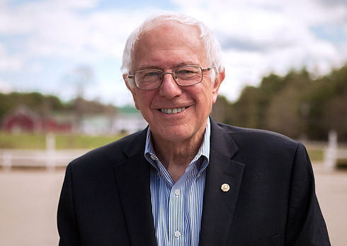 bernie-sanders-portrait-campaign01.jpeg